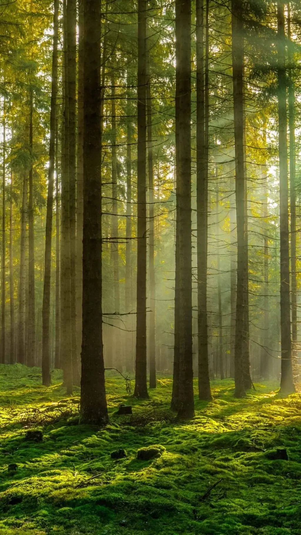 Monitor. Track. Connect – sustainably.